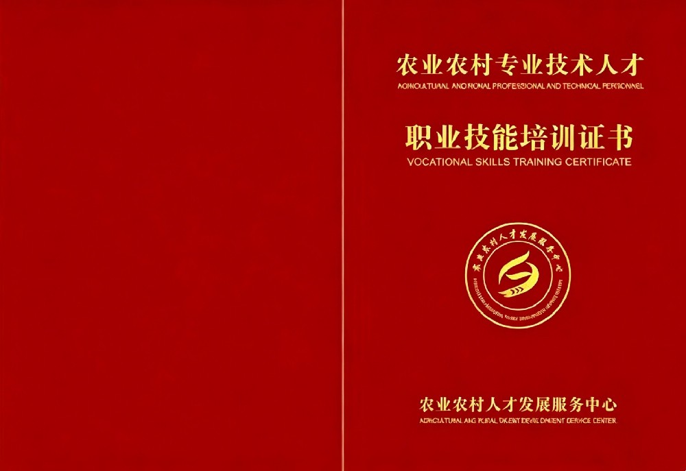 农村电子商务师证书报名入口_报考条件流程及费用